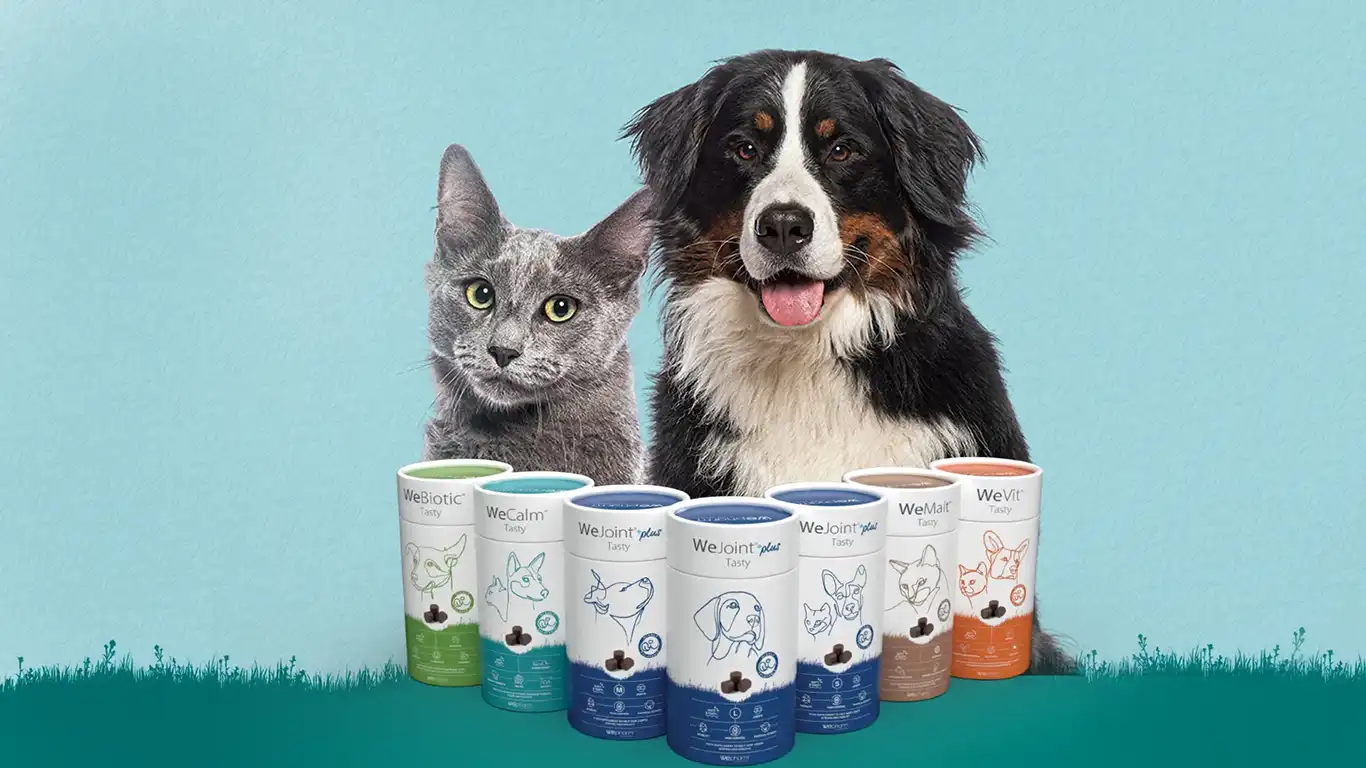 We Tasty soft-chew supplements range for dogs and cats - WeCalm, WeJoint Plus, WeMalt, WeVit, WeBiotic