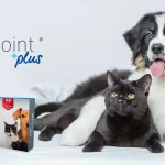 We Joint Plus joint supplement - hydrolysed vs native type II collagen for dogs and cats