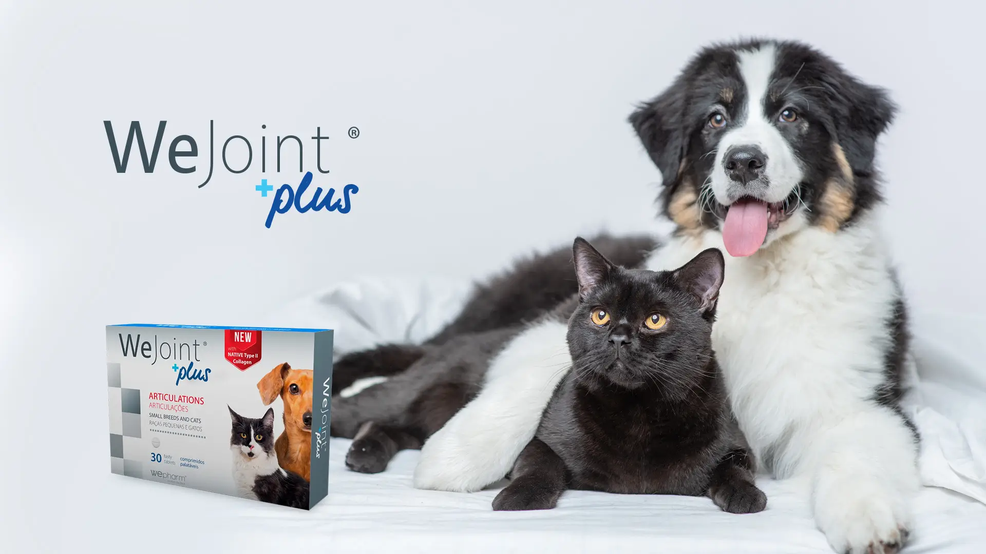 We Joint Plus supliment articular cu colagen nativ tip II glucozamina condroitina pentru caini si pisici