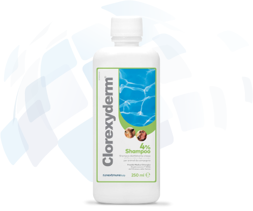 Clorexyderm sampon