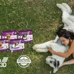 External parasite control in dogs and cats - ticks, fleas, mosquitoes and