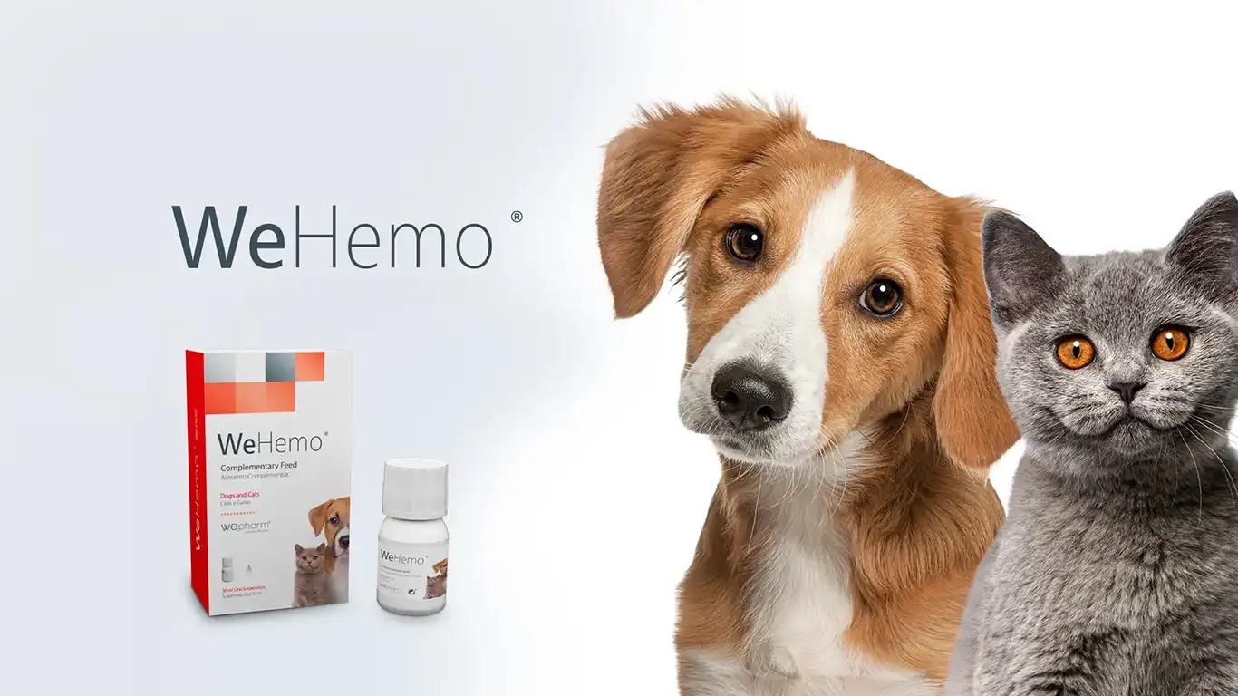 WeHemo chelated iron supplement for anaemia support in dogs and cats