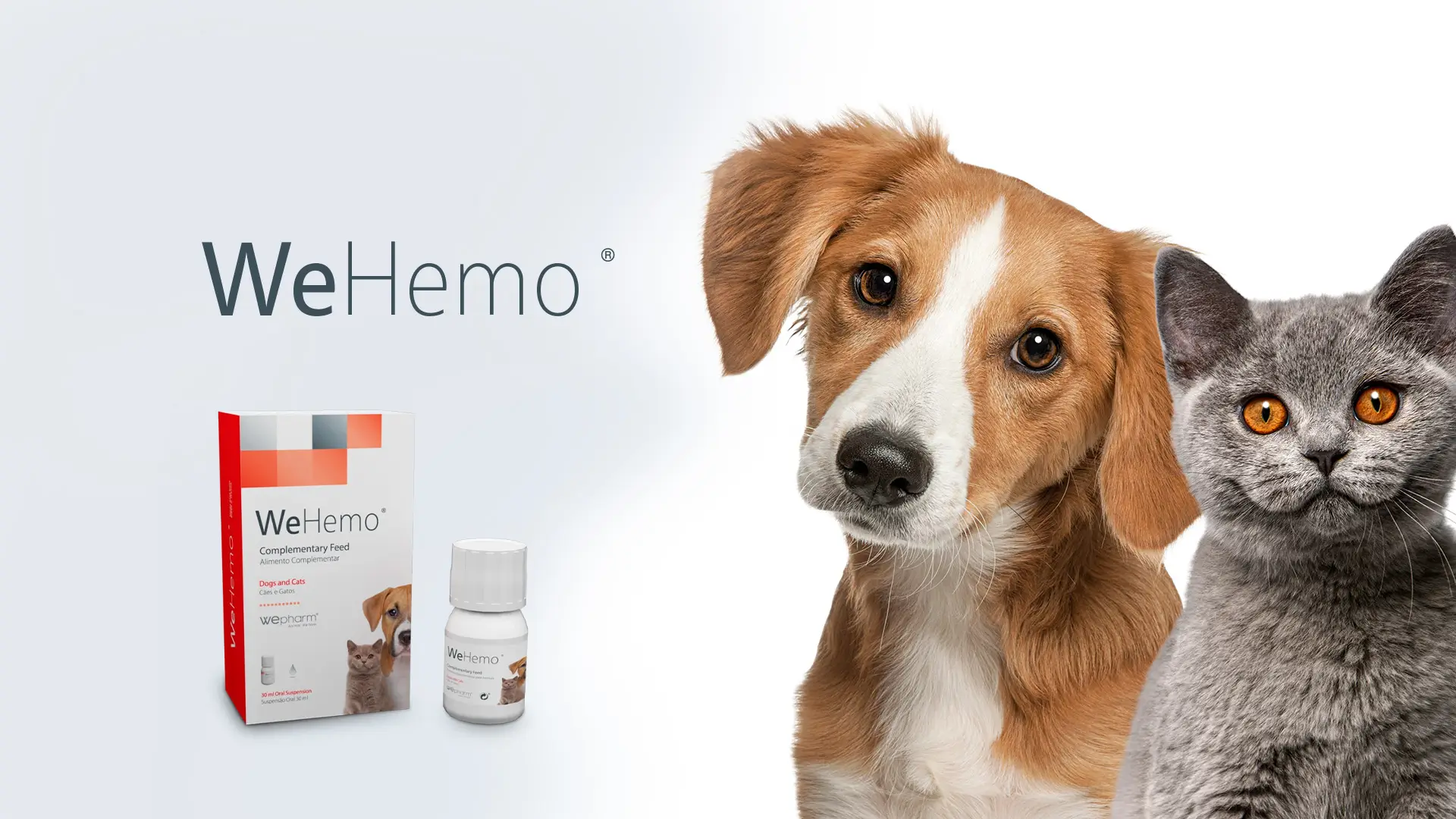 WeHemo supliment fier chelat glicină pentru câini și pisici anemici – flacon 30 ml cu seringă dozatoare