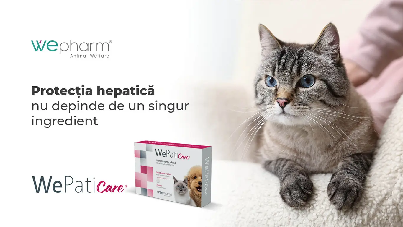 Wepaticare supliment hepatic pentru caini cu Siliphos curcuma papadie anghinare vitamina E zinc